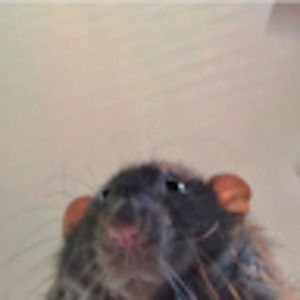 Meet your Posher, Aidan